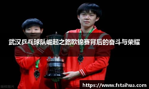 武汉乒乓球队崛起之路欧锦赛背后的奋斗与荣耀