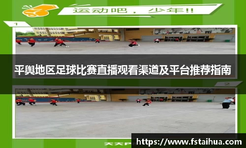 平舆地区足球比赛直播观看渠道及平台推荐指南